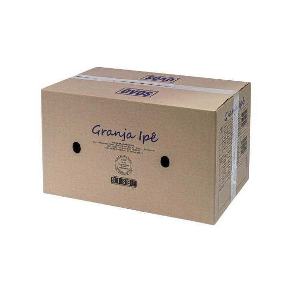 Caixa De Papelao Com Colmeia